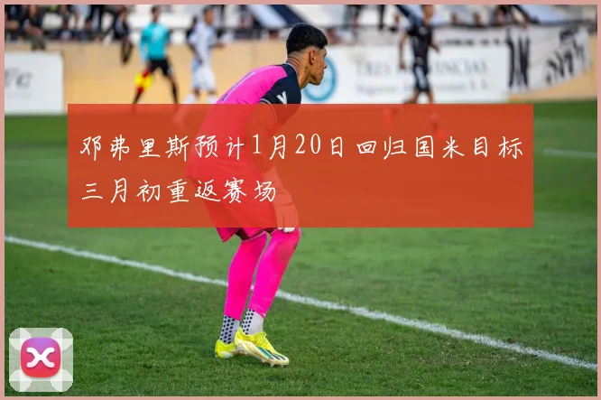 邓弗里斯预计1月20日回归国米目标三月初重返赛场
