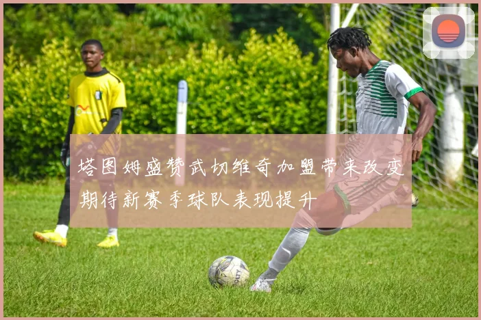 塔图姆盛赞武切维奇加盟带来改变期待新赛季球队表现提升