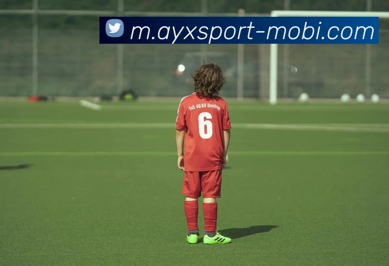 爱游戏平台生态图